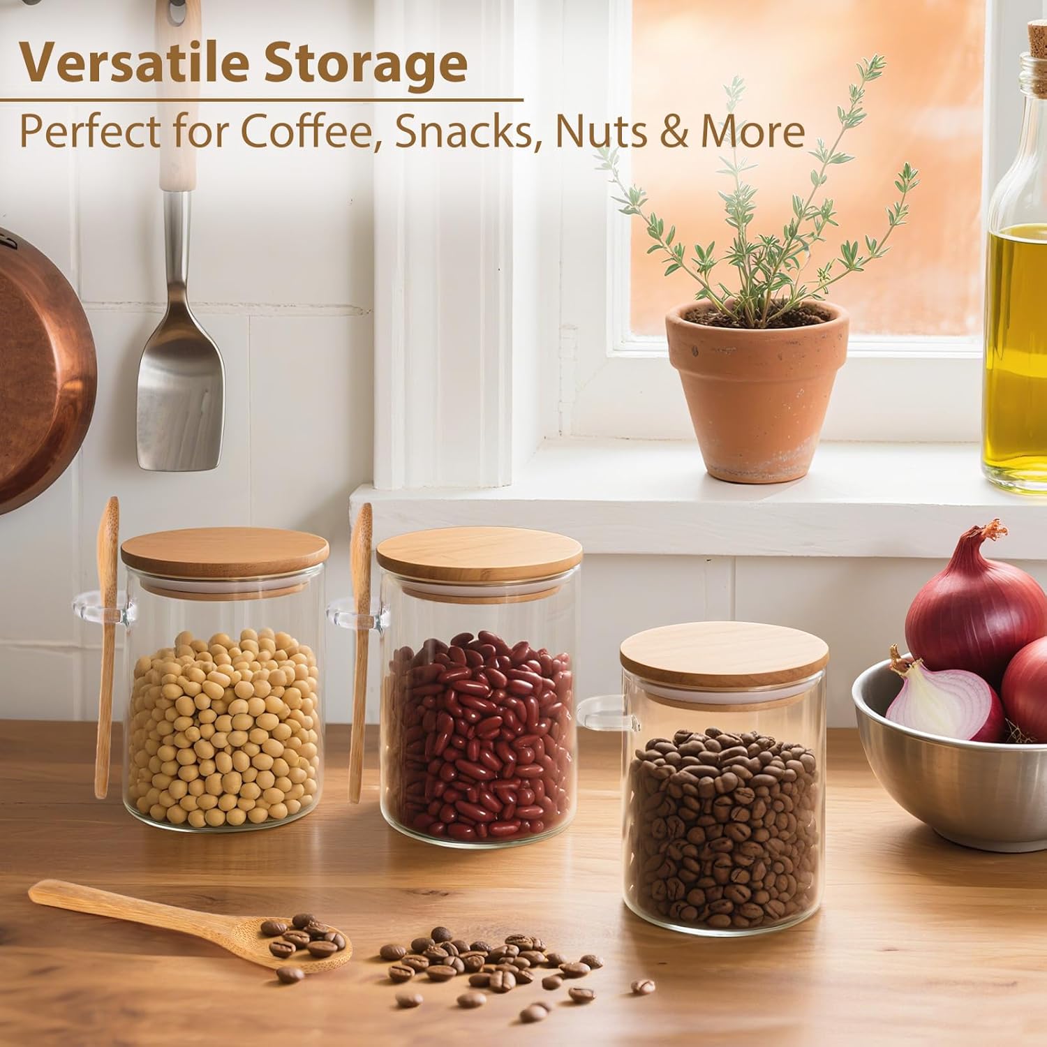 6 Pack Overnight Oats Containe - Meal Prep Jars With Lids 리뷰 및 가격