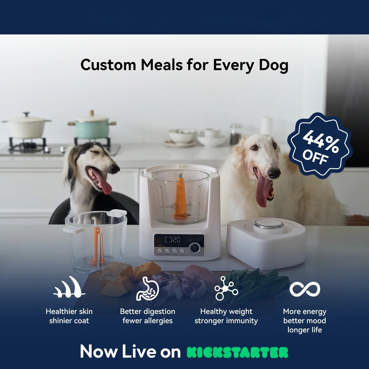 Automatic Pet Food Maker - Sma - Meal Prep Simple 리뷰 및 가격